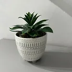 Ennerdale Edge - 4 Bedrooms - Sleeps 8